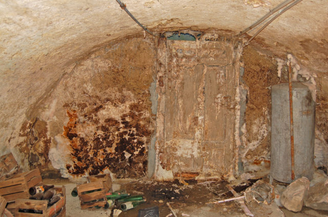 Befall mit echtem Hausschwamm im Keller eines Privathauses, Foto Marinowitz